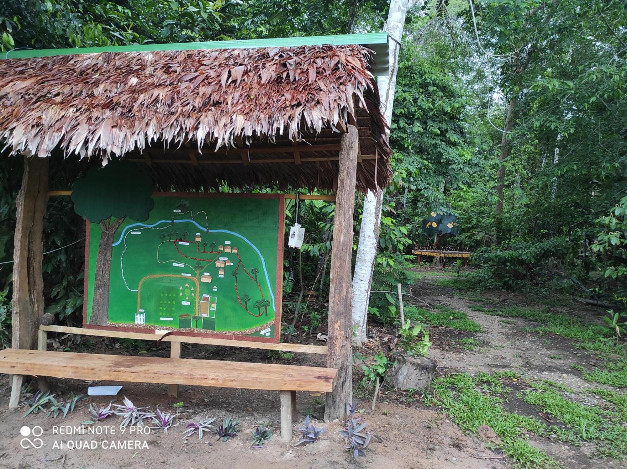Castana Amazon Park Vandrehjem Puerto Maldonado Eksteriør billede